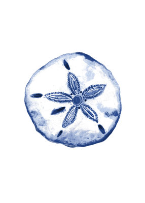 Image Not Available